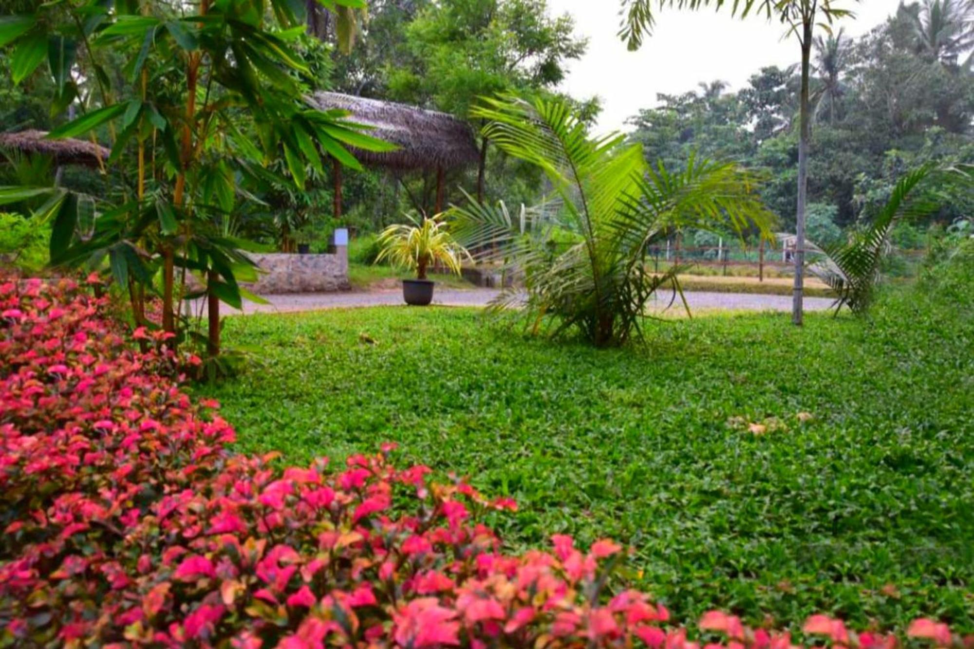 Green View Safari Paradise Hotel Udawalawe Exterior foto